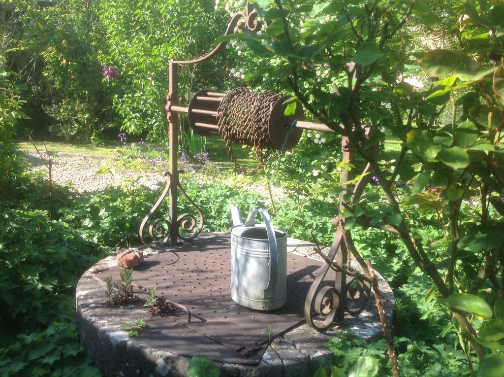 Au Fond Du Jardin Maison D'Hotes Saint-Saëns Esterno foto