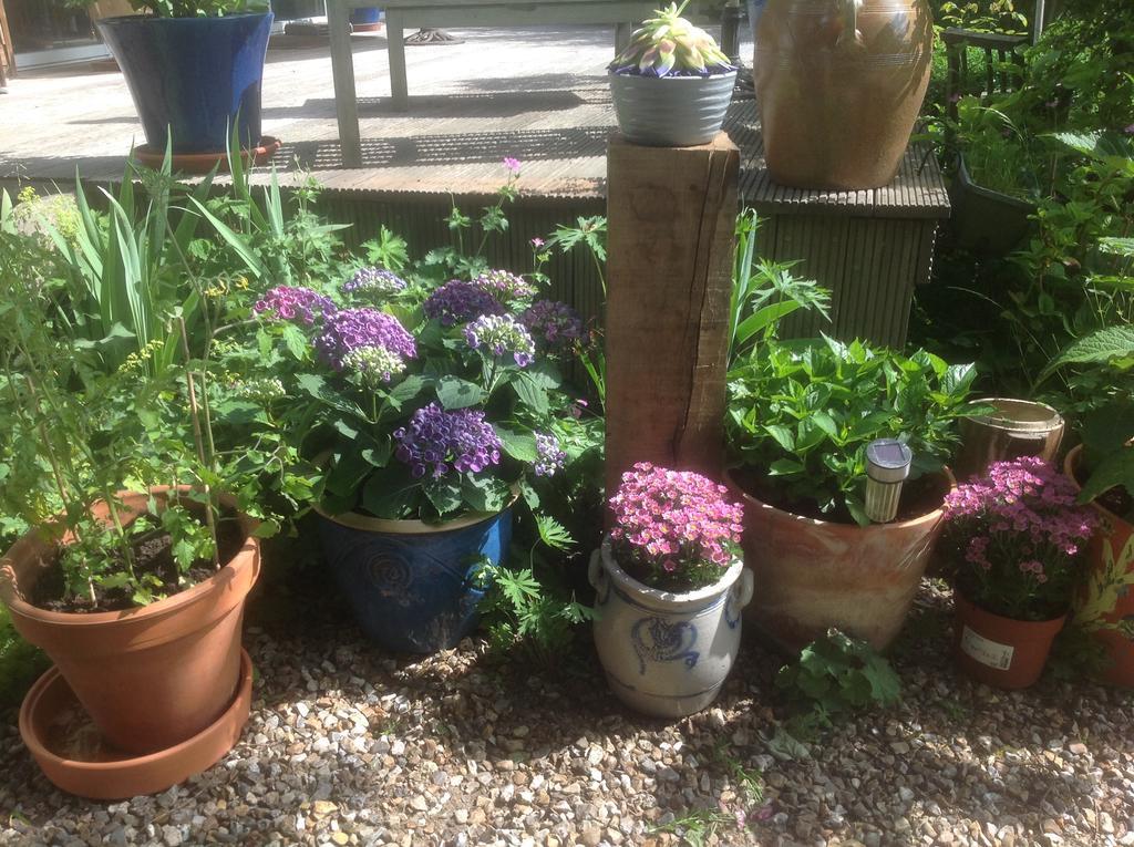 Au Fond Du Jardin Maison D'Hotes Saint-Saëns Esterno foto